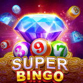 Super Bingo on FBM Play