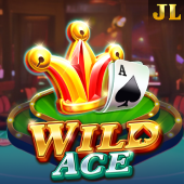 Wild Ace on FBM Play